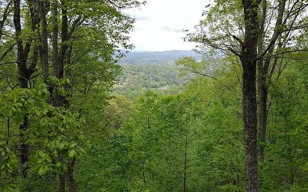 1.67 Acres of Residential Land for Sale in Blairsville, Georgia