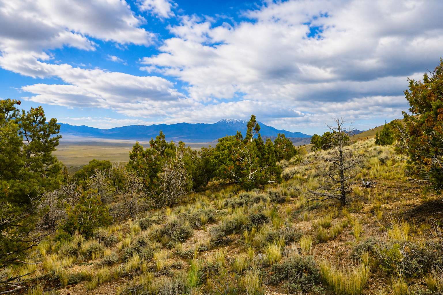 2 Acres of Residential Land for Sale in Elko, Nevada