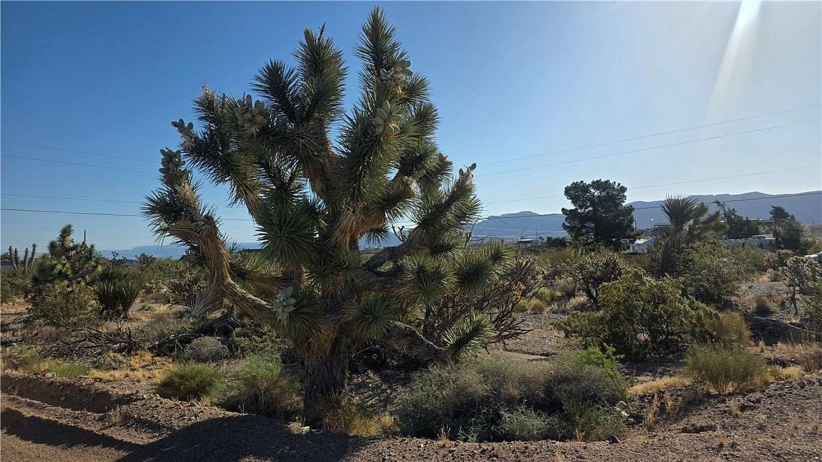 0.66 Acres of Residential Land for Sale in Meadview, Arizona