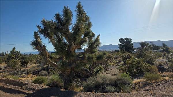0.66 Acres of Residential Land for Sale in Meadview, Arizona