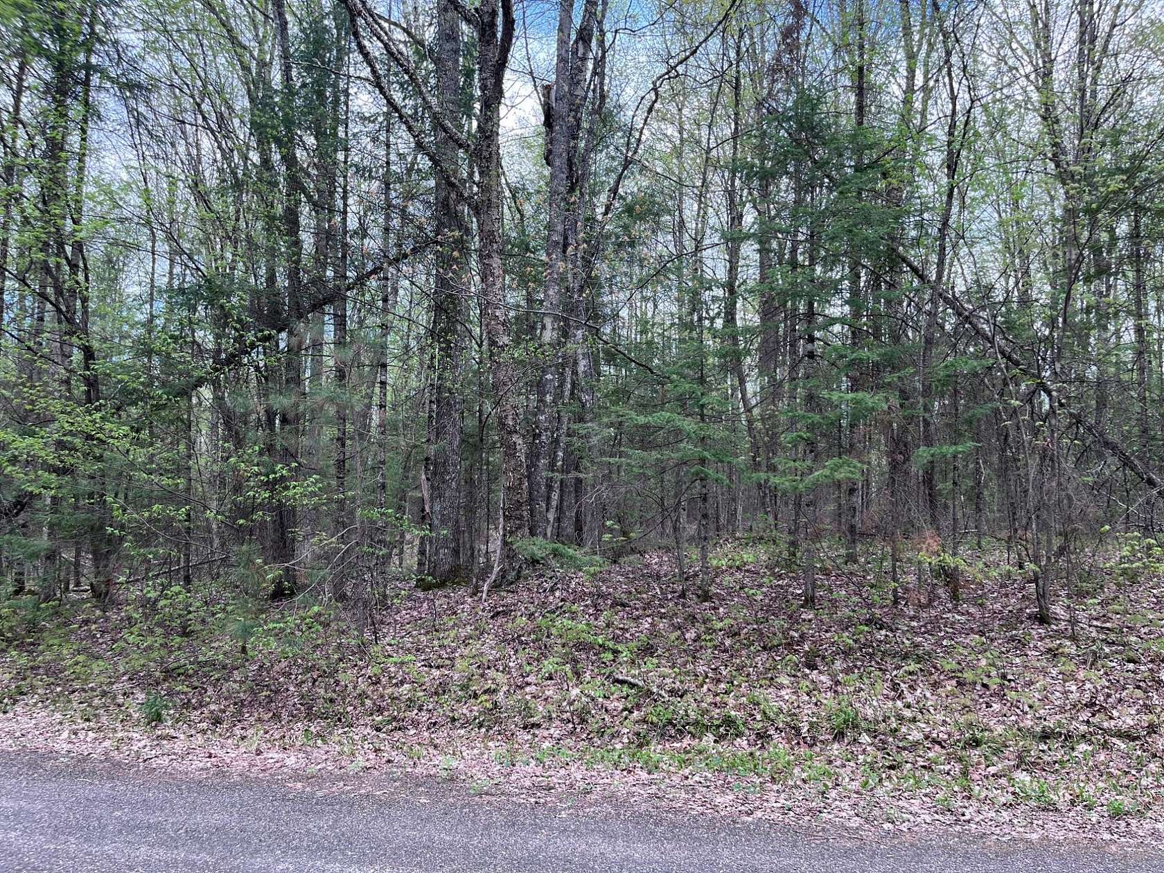 1.58 Acres of Residential Land for Sale in Presque Isle, Wisconsin