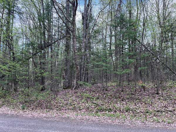 1.58 Acres of Residential Land for Sale in Presque Isle, Wisconsin