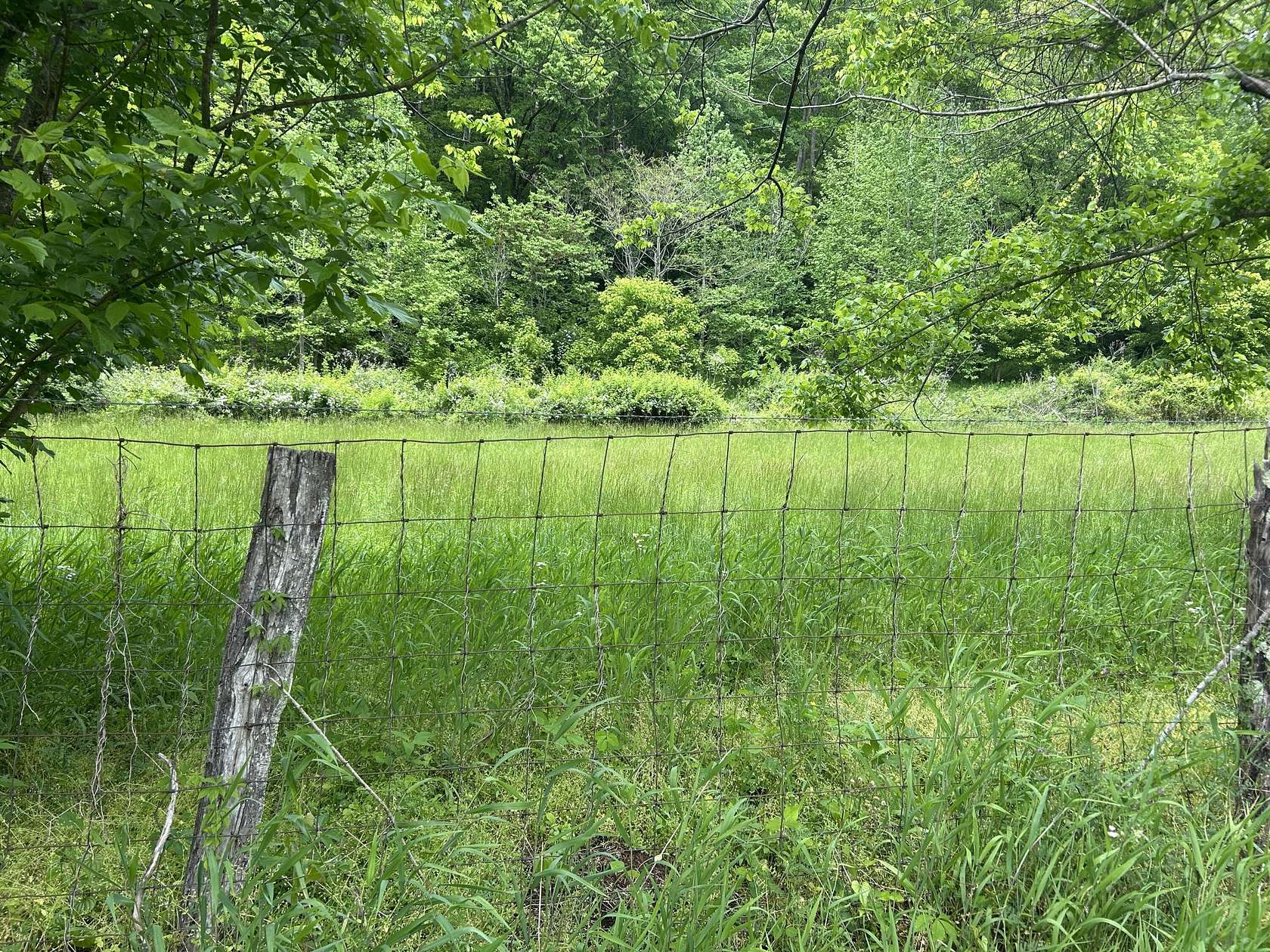 35.7 Acres of Recreational Land for Sale in Oneida, Kentucky