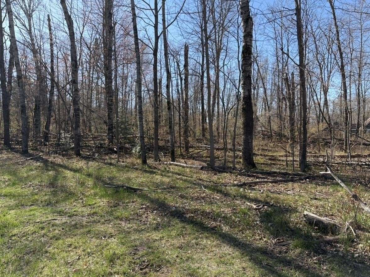 0.96 Acres of Residential Land for Sale in Lake, Michigan