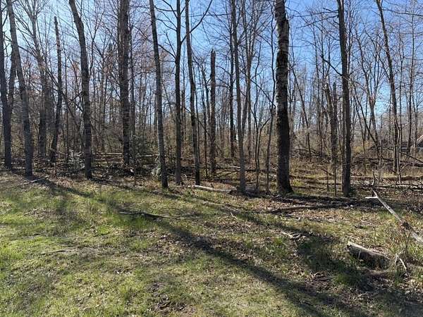 0.96 Acres of Residential Land for Sale in Lake, Michigan