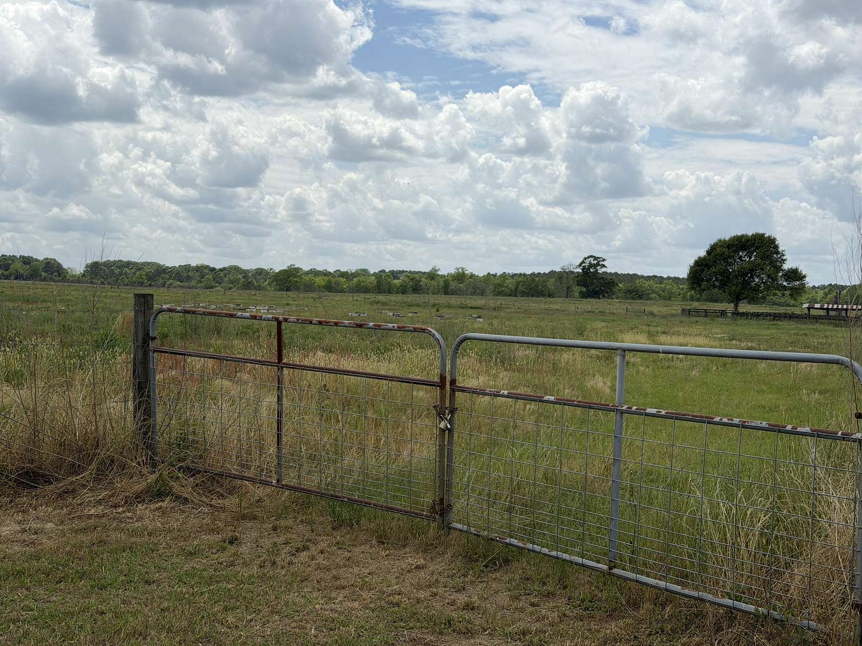 12 Acres of Agricultural Land for Sale in Lumberton, Mississippi