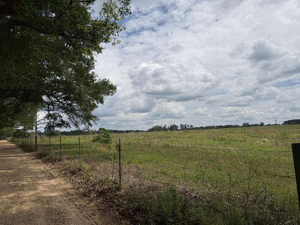 17 Acres of Agricultural Land for Sale in Lumberton, Mississippi
