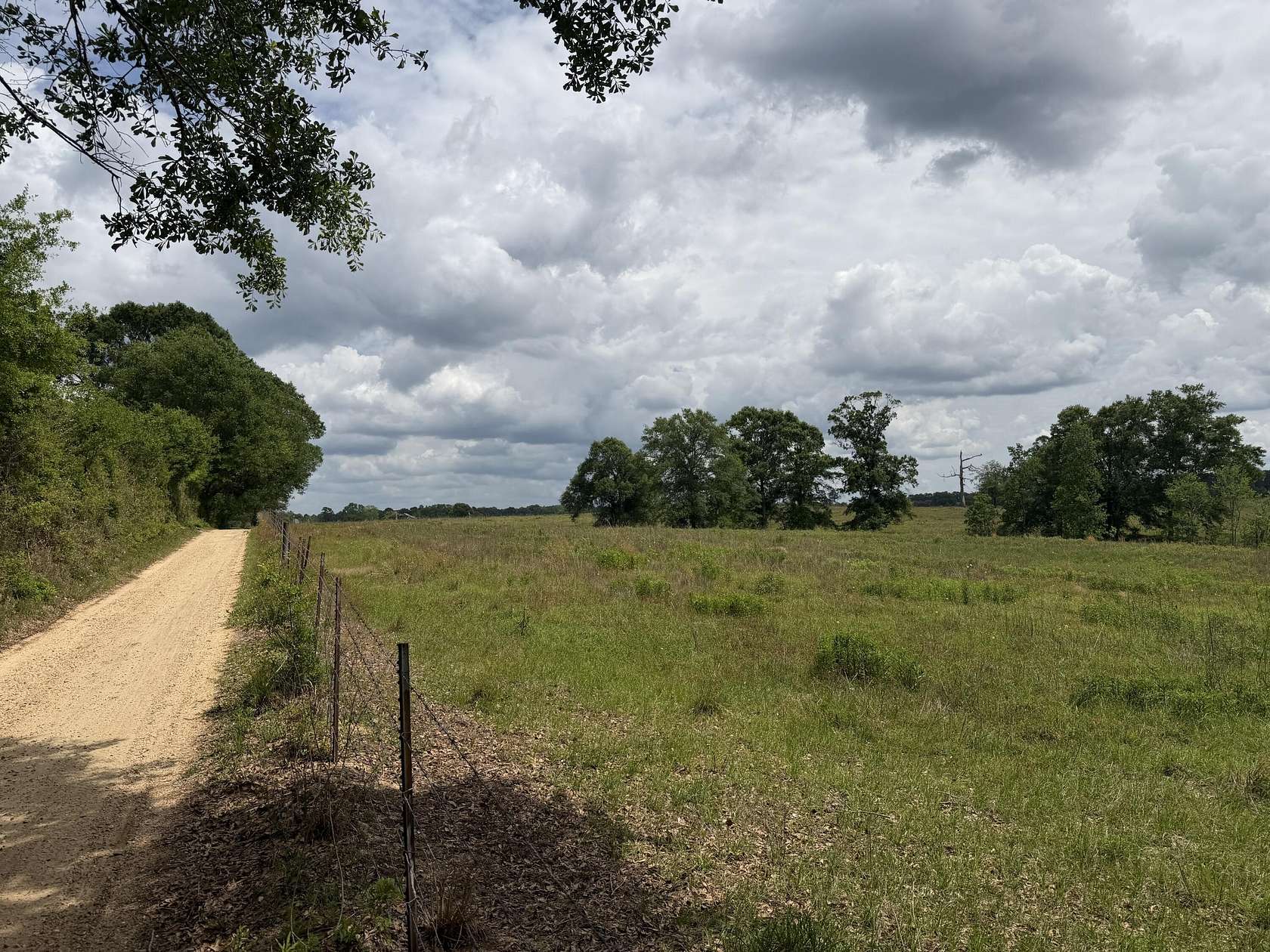 18 Acres of Land for Sale in Lumberton, Mississippi