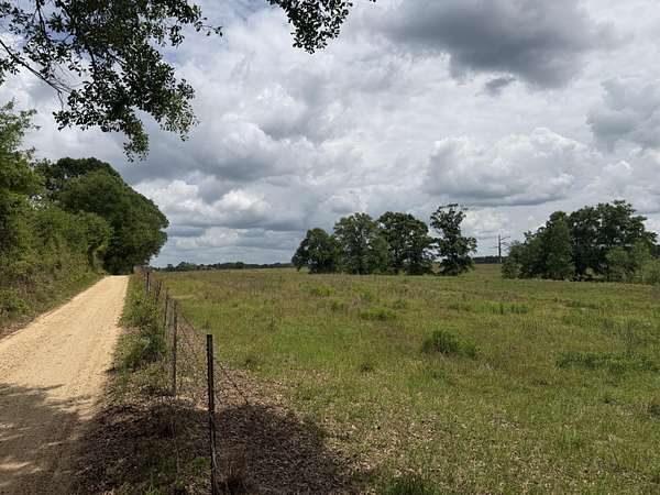 18 Acres of Land for Sale in Lumberton, Mississippi