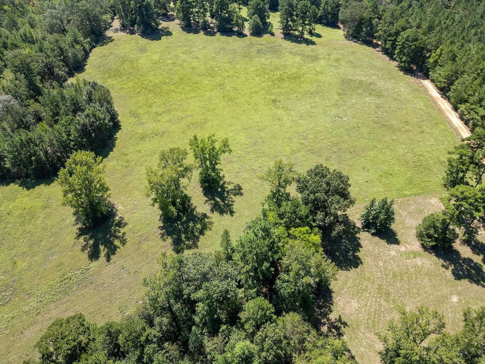 11.6 Acres of Land for Sale in Big Sandy, Texas