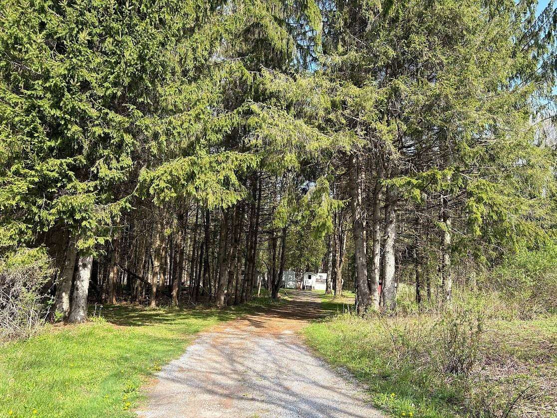 8.2 Acres of Residential Land for Sale in Remsen, New York