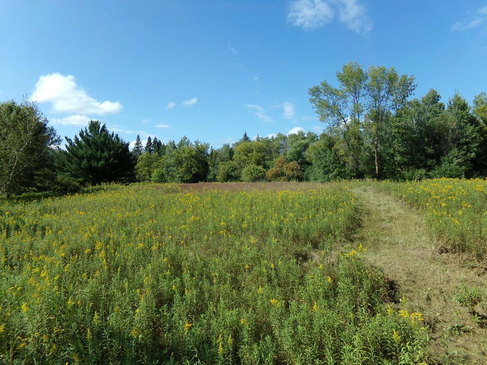 5 Acres of Land for Sale in Harris, Minnesota