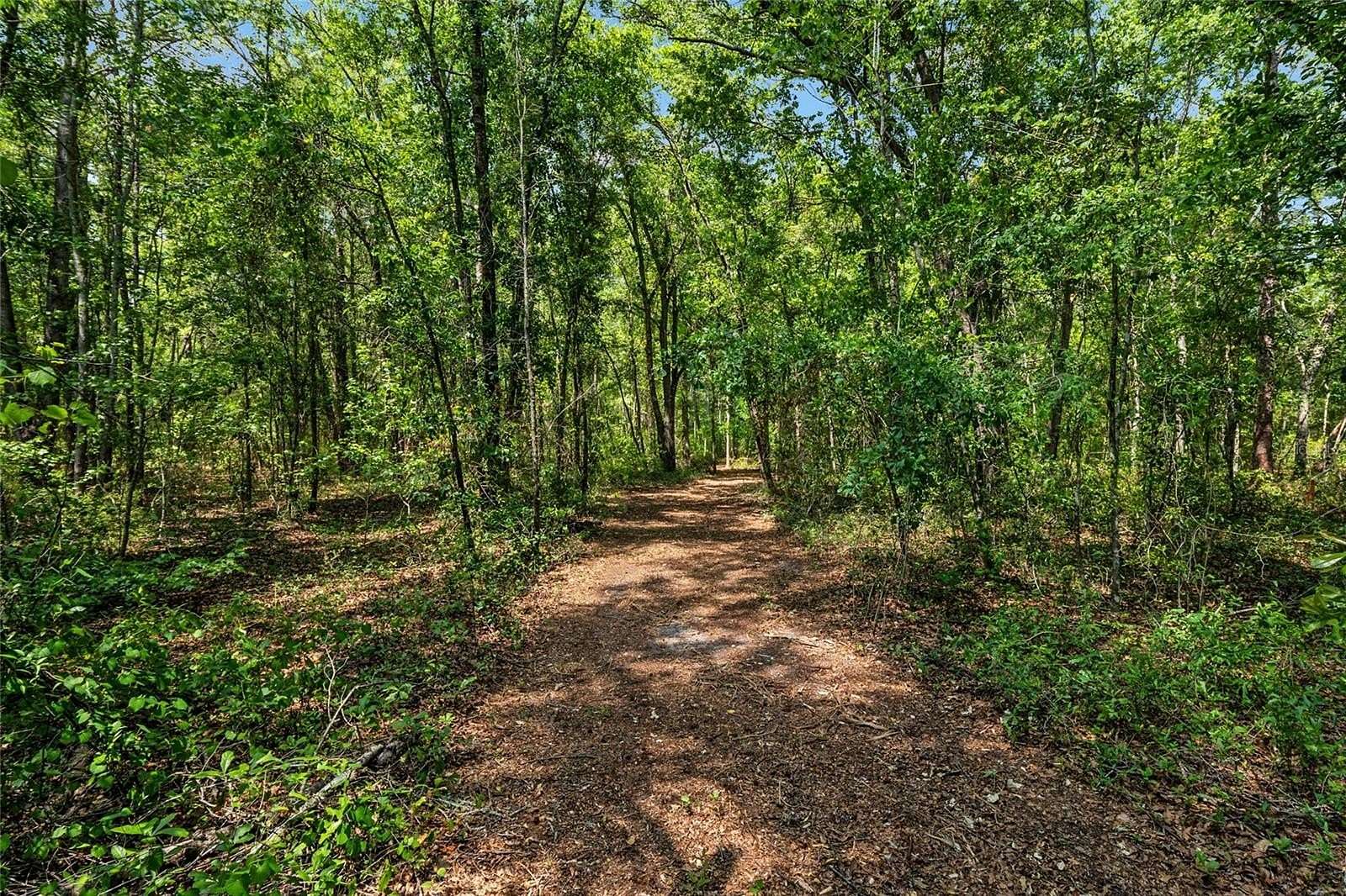10.7 Acres of Recreational & Residential Land for Sale in Alachua, Florida