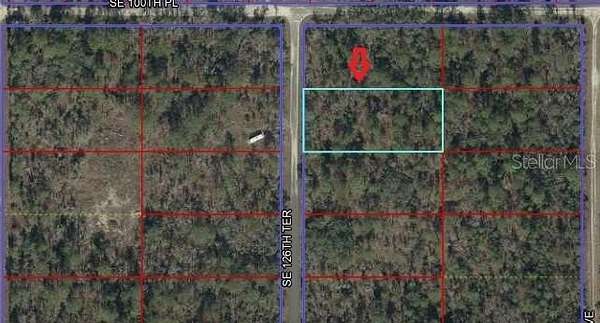 1 Acre of Residential Land for Sale in Dunnellon, Florida