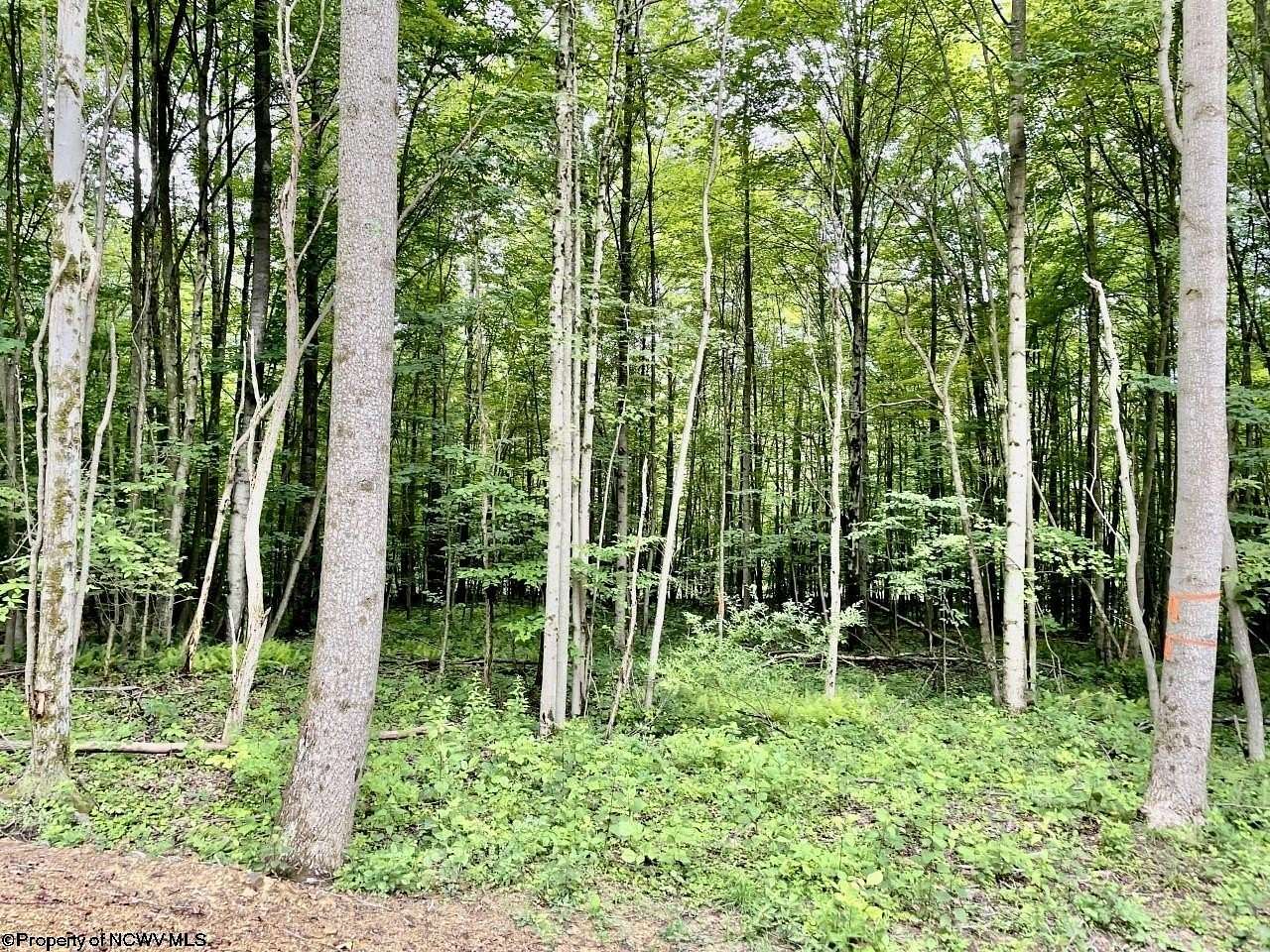 0.94 Acres of Residential Land for Sale in Kingwood, West Virginia