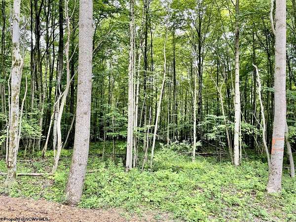 0.94 Acres of Residential Land for Sale in Kingwood, West Virginia