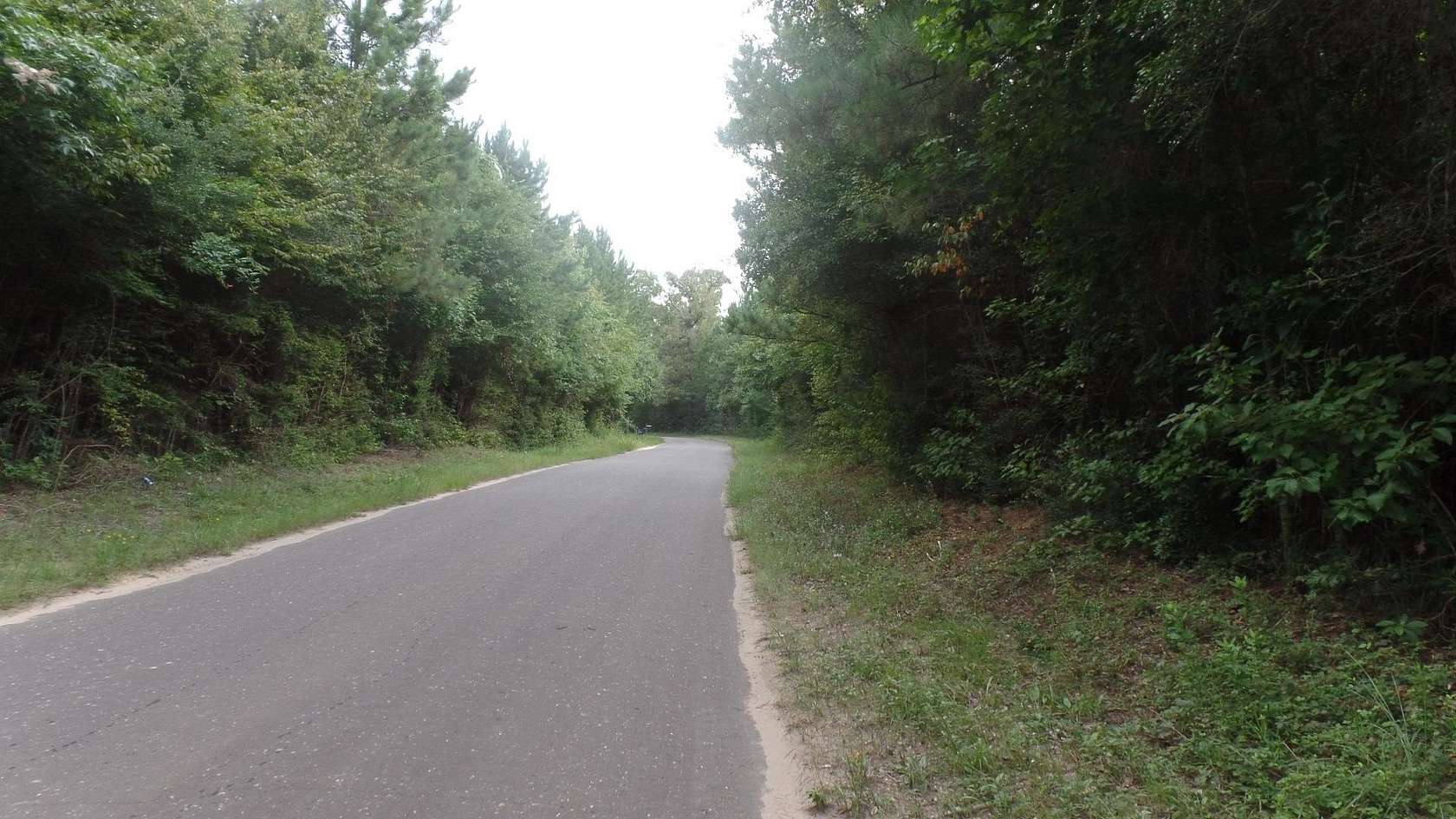 38.7 Acres of Land for Sale in Jasper, Texas