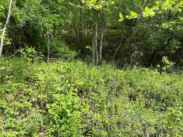 0.45 Acres of Residential Land for Sale in East Lynn, West Virginia