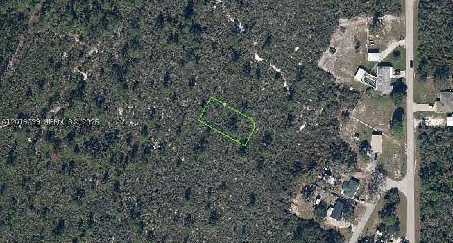0.26 Acres of Residential Land for Sale in Lake Placid, Florida
