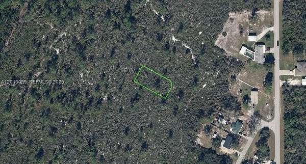 0.26 Acres of Residential Land for Sale in Lake Placid, Florida