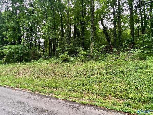 0.5 Acres of Residential Land for Sale in Guntersville, Alabama