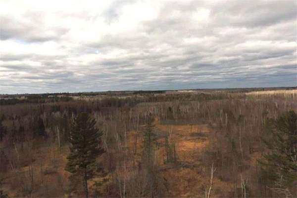 40 Acres of Recreational & Residential Land for Sale in New Independence Township, Minnesota