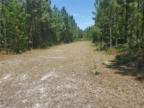 160 Acres of Land for Sale in Brunswick, Georgia