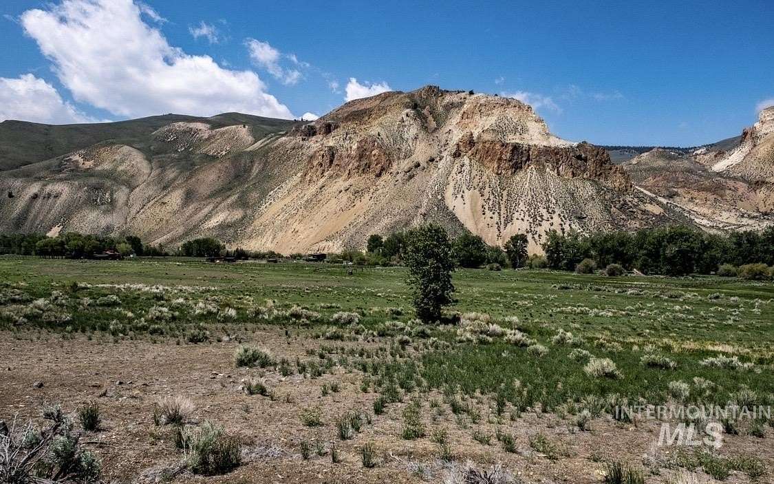8.22 Acres of Residential Land for Sale in Clayton, Idaho