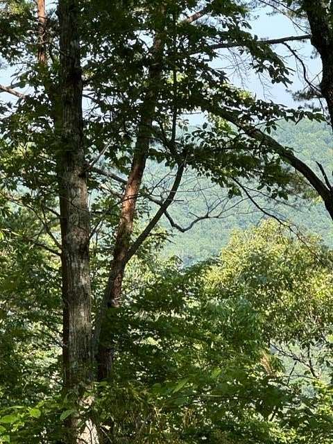 17.6 Acres of Land for Sale in Wilder, Tennessee