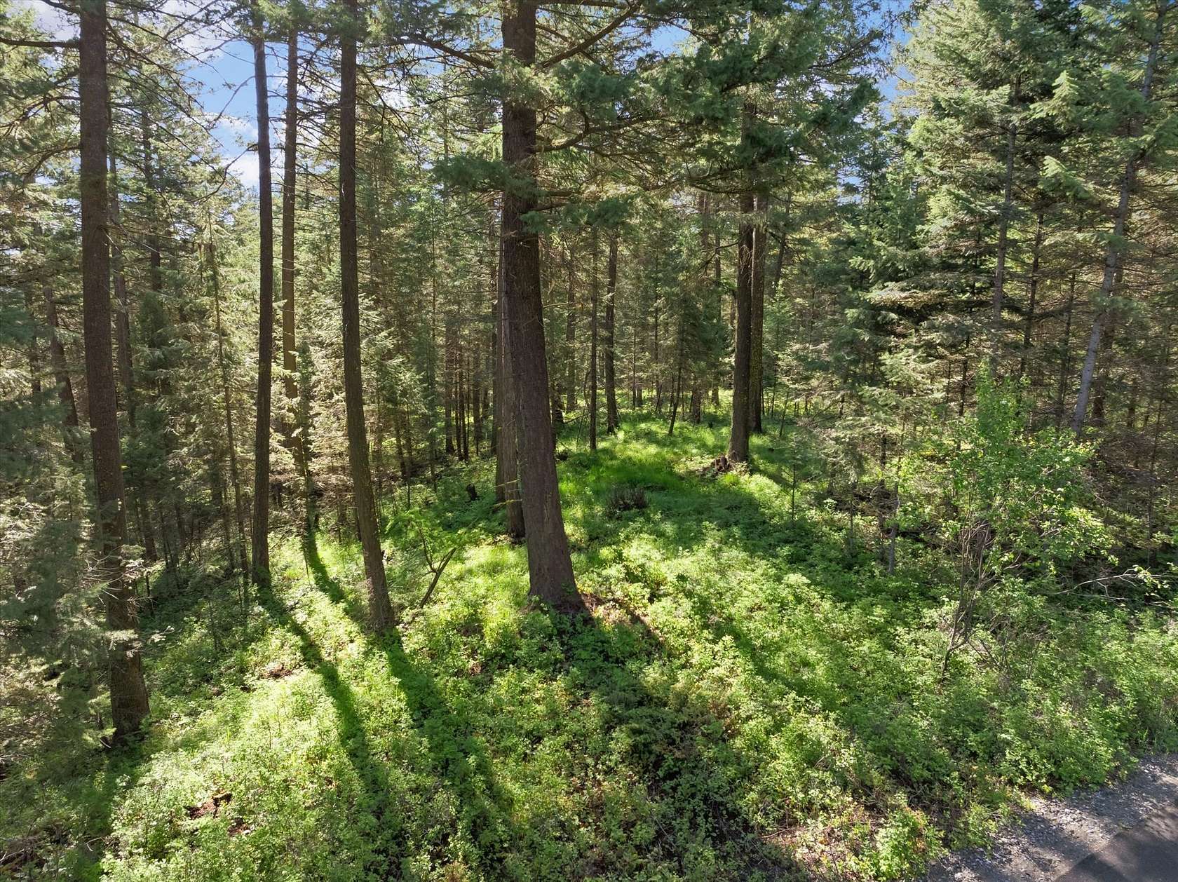 5.55 Acres of Residential Land for Sale in Whitefish, Montana