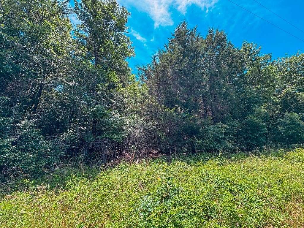 3.6 Acres of Land for Sale in Tennessee Colony, Texas