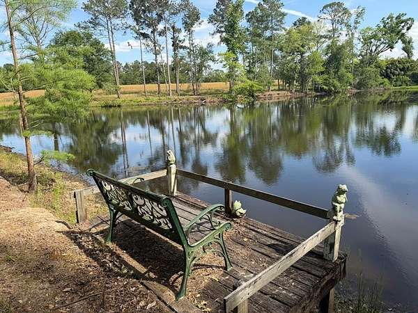 23 Acres of Land for Sale in Ochlocknee, Georgia