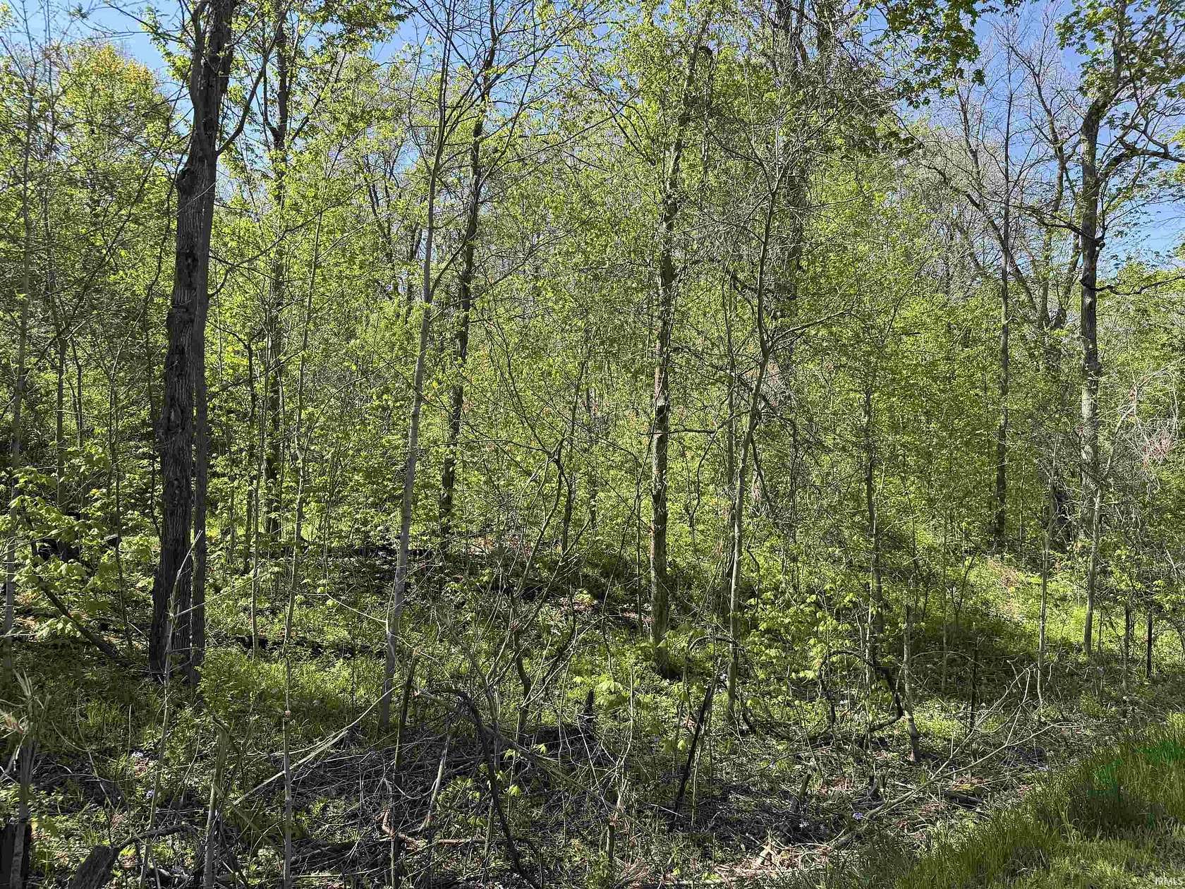 6 Acres of Land for Sale in South Whitley, Indiana