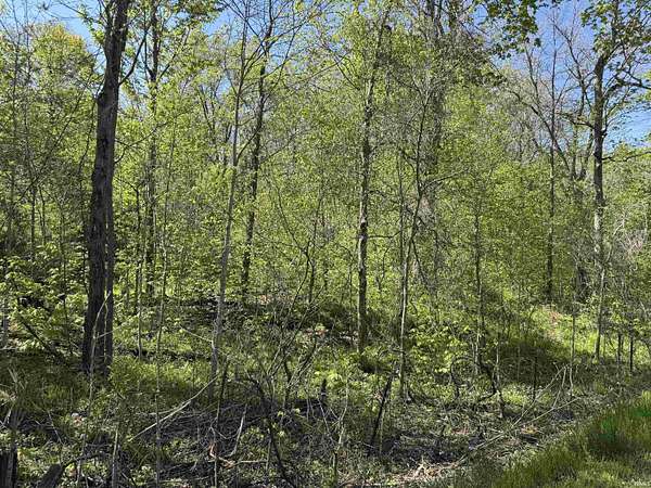 6 Acres of Land for Sale in South Whitley, Indiana