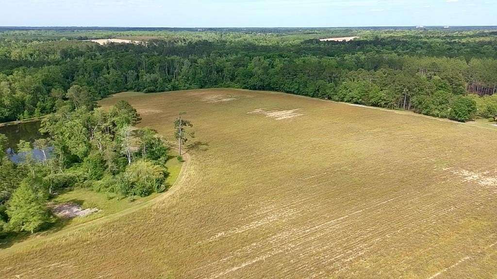 29 Acres of Land for Sale in Ochlocknee, Georgia