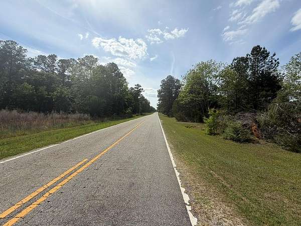 29 Acres of Land for Sale in Cairo, Georgia
