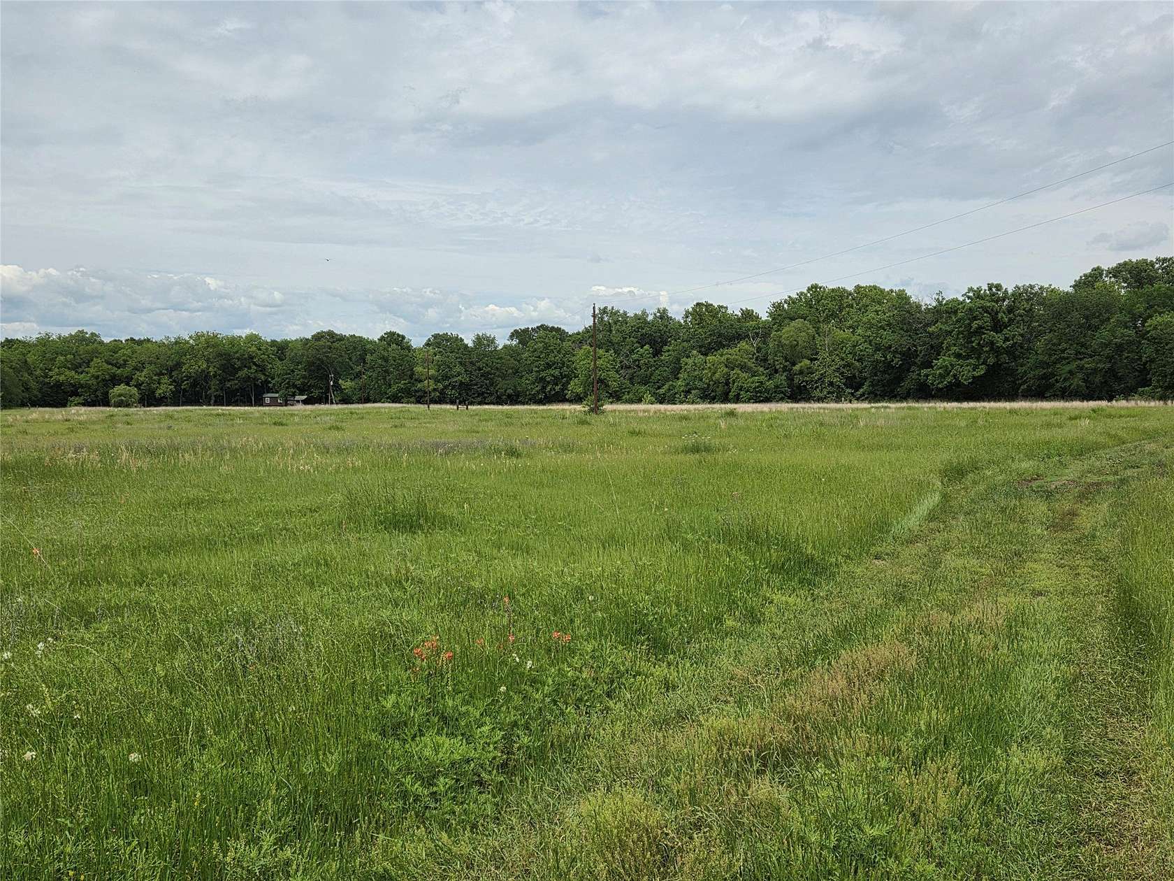 35 Acres of Land for Sale in Savoy, Texas