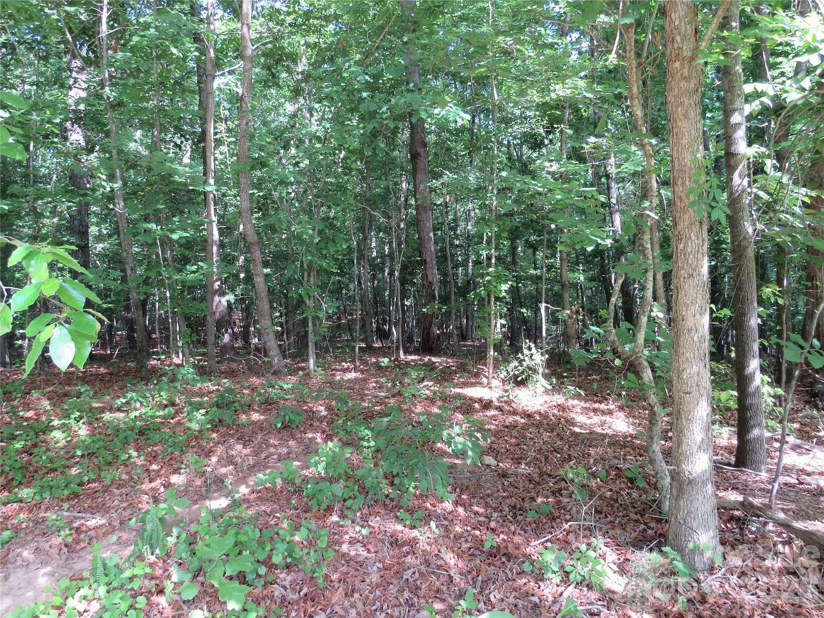 3 Acres of Residential Land for Sale in Forest City, North Carolina