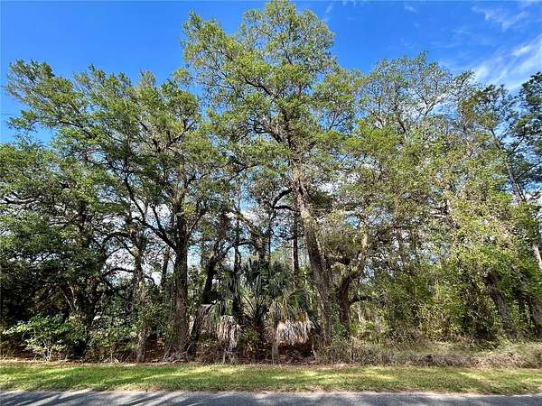 3.52 Acres of Residential Land for Sale in Earleton, Florida