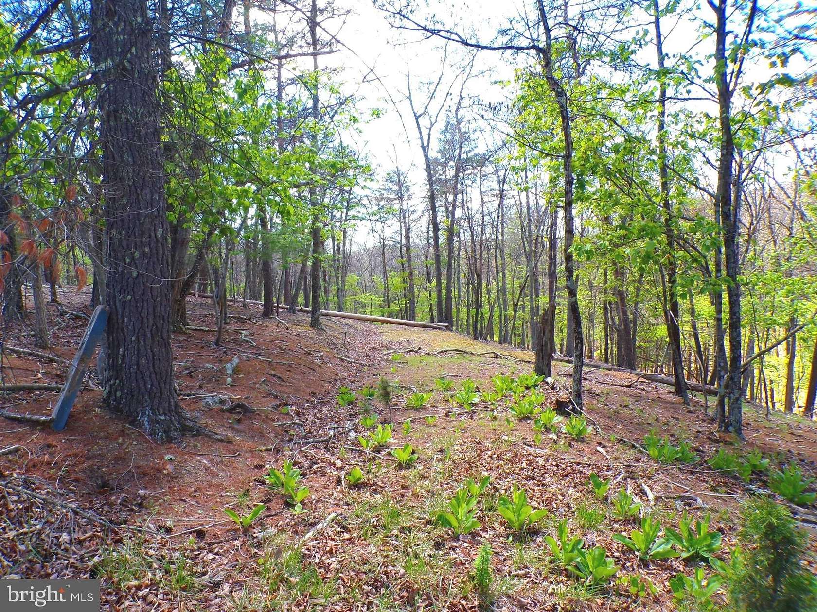 5.4 Acres of Land for Sale in Paw Paw, West Virginia