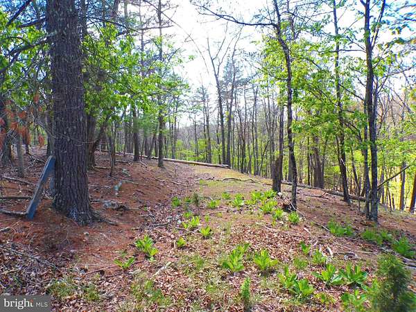 5.4 Acres of Land for Sale in Paw Paw, West Virginia