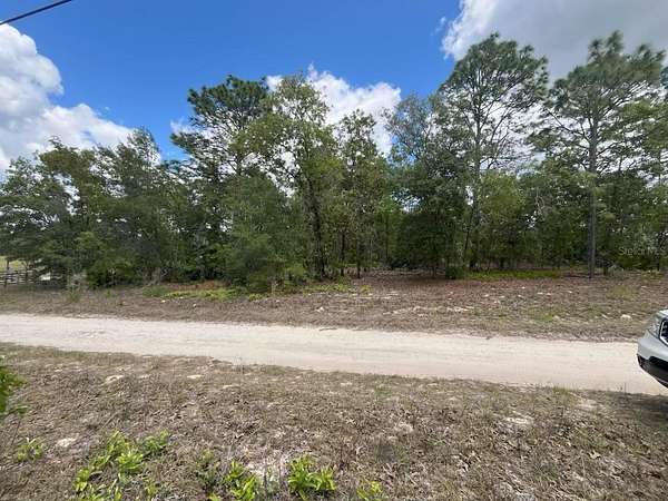 0.99 Acres of Land for Sale in Dunnellon, Florida