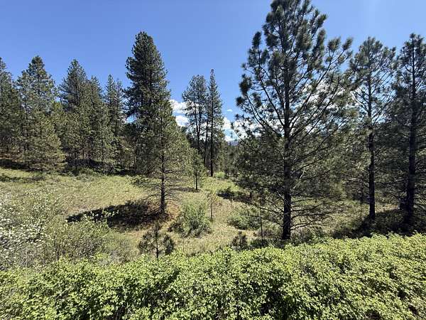 20 Acres of Recreational & Residential Land for Sale in Curlew, Washington