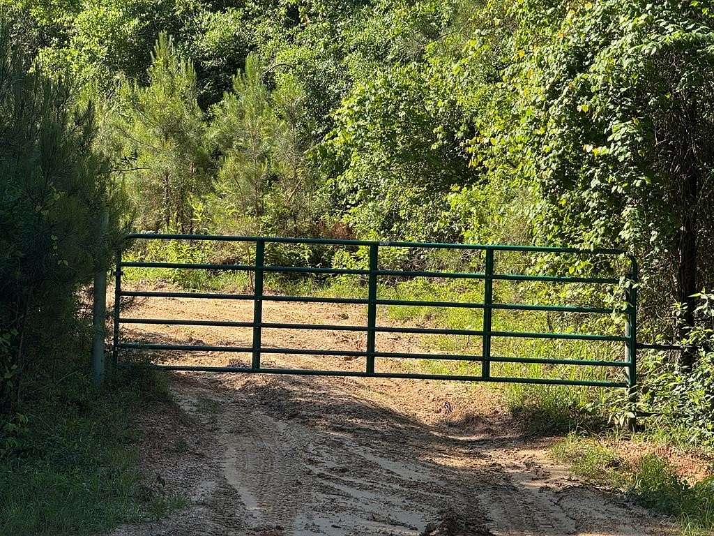 71.7 Acres of Land for Sale in Poplarville, Mississippi