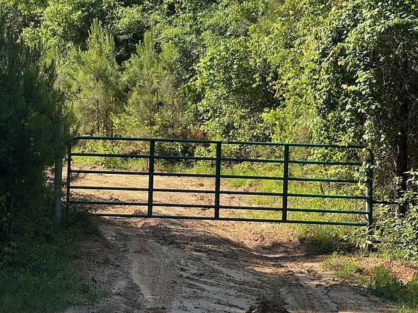 71.7 Acres of Land for Sale in Poplarville, Mississippi