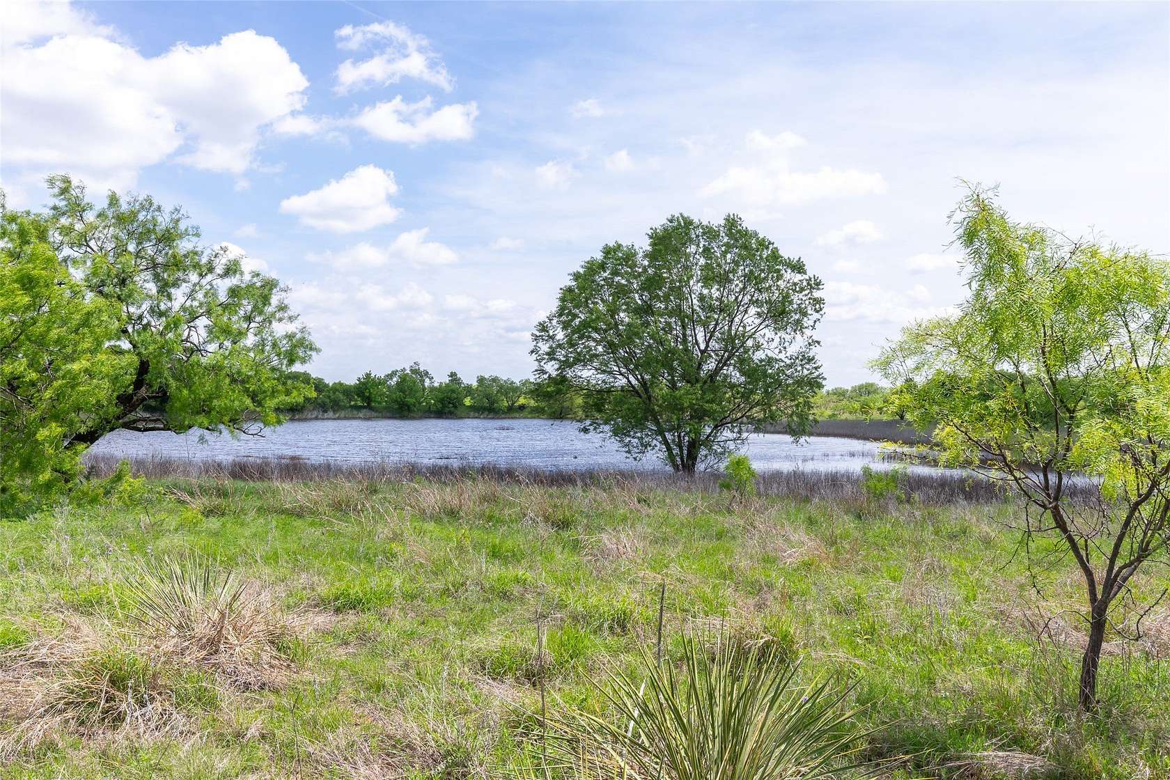 46.5 Acres of Land for Sale in Lawn, Texas