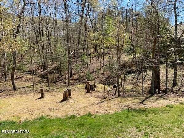 0.51 Acres of Residential Land for Sale in Fairfield Glade, Tennessee
