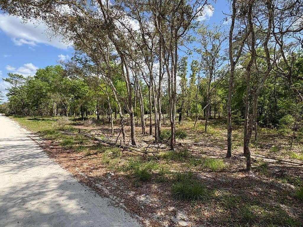 4 Acres of Land for Sale in Old Town, Florida