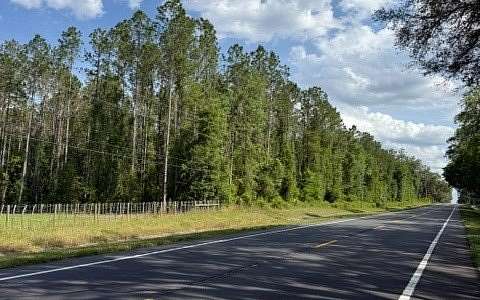 27.1 Acres of Land for Sale in Lake City, Florida