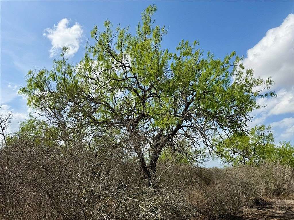 20.4 Acres of Recreational & Residential Land for Sale in San Diego, Texas